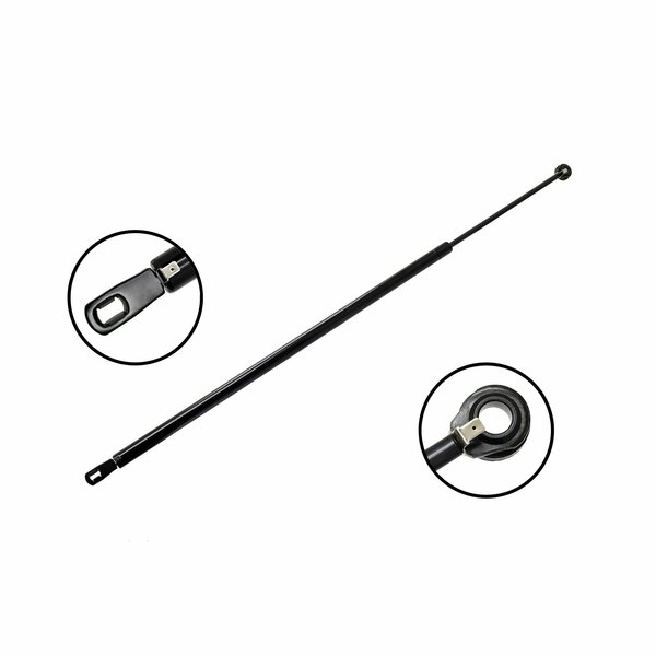 Fcs Struts Lift Support Hatch, 84900 84900